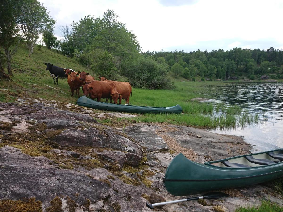 Stenbekk Vandrarhem Sarpsborg Exteriör bild